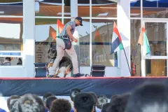 Dog-Show-20230004