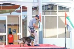 Dog-Show-20230006