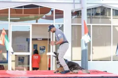 Dog-Show-20230008