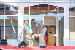 Dog-Show-20230009
