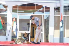 Dog-Show-20230010
