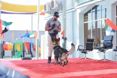 Dog-Show-20230044