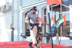 Dog-Show-20230046