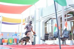 Dog-Show-20230049
