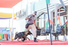 Dog-Show-20230050