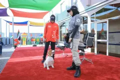 Dog-Show-20230069