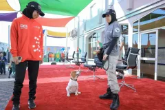 Dog-Show-20230070