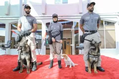 Dog-Show-20230077