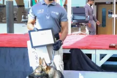 Dog-Show-20230088