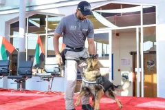Dog-Show-20230167