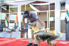 Dog-Show-20230168