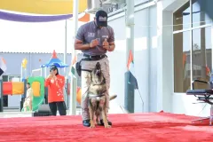 Dog-Show-20230169