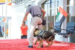 Dog-Show-20230175