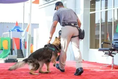 Dog-Show-20230176