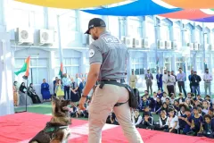 Dog-Show-20230177
