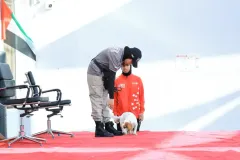 Dog-Show-20230214