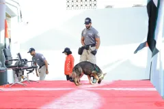 Dog-Show-20230217