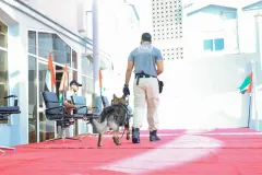 Dog-Show-20230218