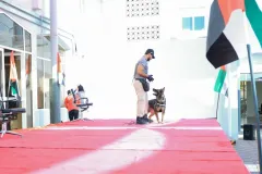 Dog-Show-20230219