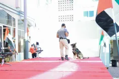 Dog-Show-20230220