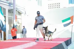 Dog-Show-20230221