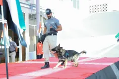 Dog-Show-20230222