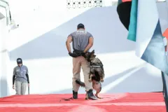 Dog-Show-20230223