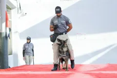 Dog-Show-20230224