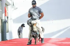 Dog-Show-20230225