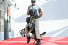 Dog-Show-20230227