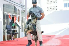 Dog-Show-20230228