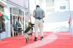 Dog-Show-20230229