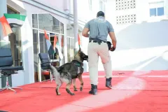 Dog-Show-20230230
