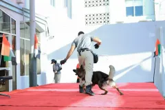 Dog-Show-20230231