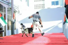 Dog-Show-20230232