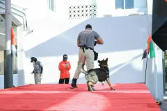 Dog-Show-20230233