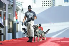 Dog-Show-20230235
