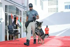 Dog-Show-20230236