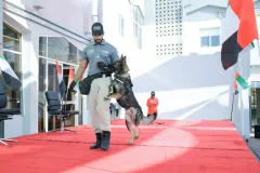 Dog-Show-20230238