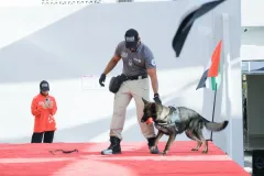 Dog-Show-20230239