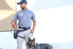 Dog-Show-20230244