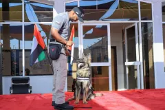 Dog-Show-20230246