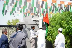 Flag-Day02